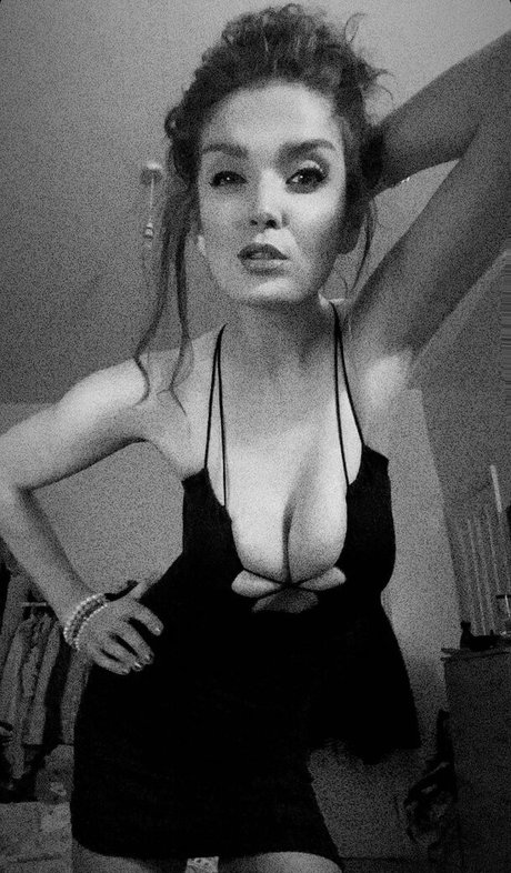 ビッグオンリーファン HD ギャラリー