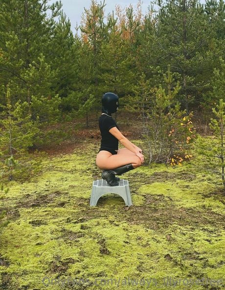 always lilyrosefree トップモデル ギャラリー