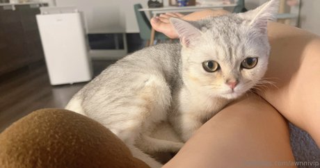 awnnivip ポルノスター アート 写真