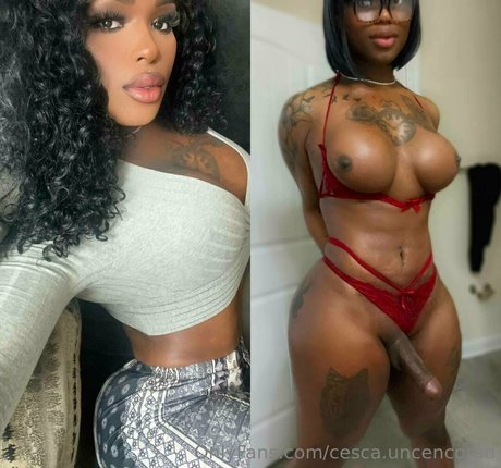 cesca uncencored ポルノスター 美しい 写真