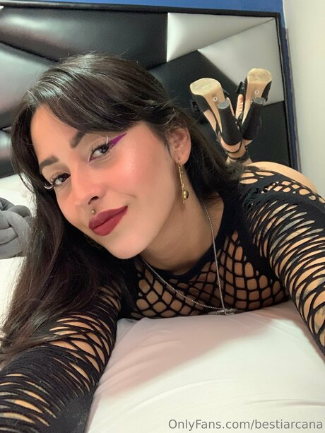 Bestiarcana 素敵なスター アーカイブ