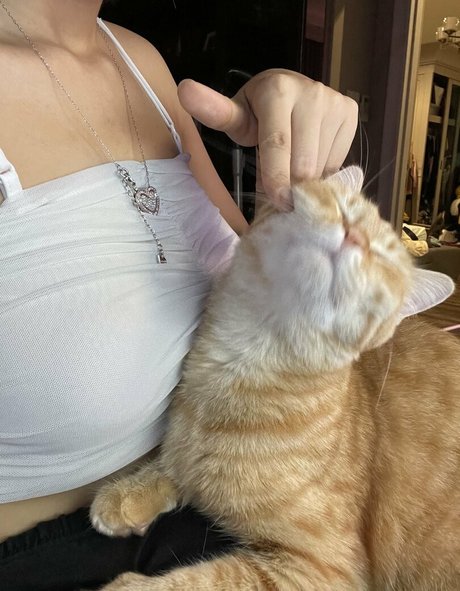 熟女の足オンリーファンズ パーフェクト アーカイブ