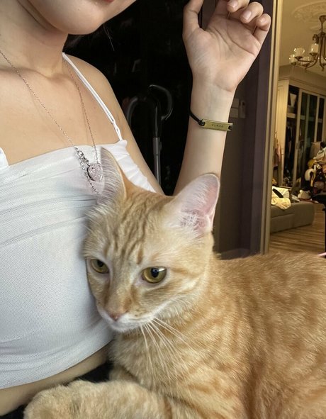 Deerlong 美しいポルノスター アーカイブ