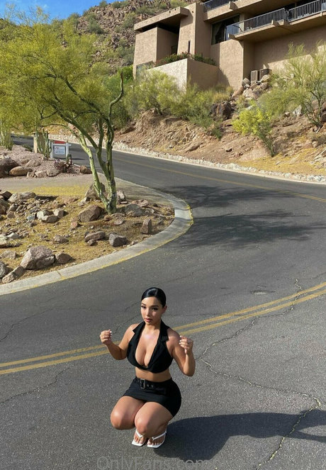 曲線美のランジェリーオンリーファンズ アートxxx 画像