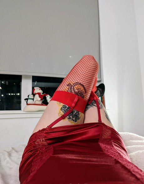 zoadgo 独占スター 写真