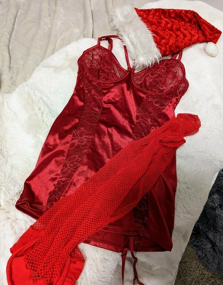 zoadgo 限定モデル 写真