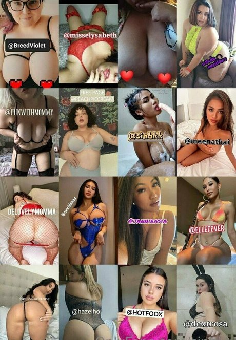 sinbkk HDスター アーカイブ