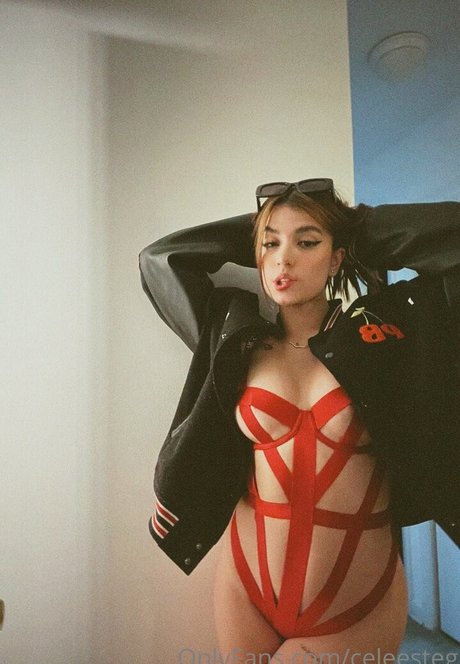 Celeesteg 完璧なポルノスター 写真