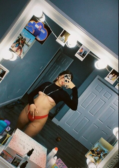 Celeesteg アートスター 写真