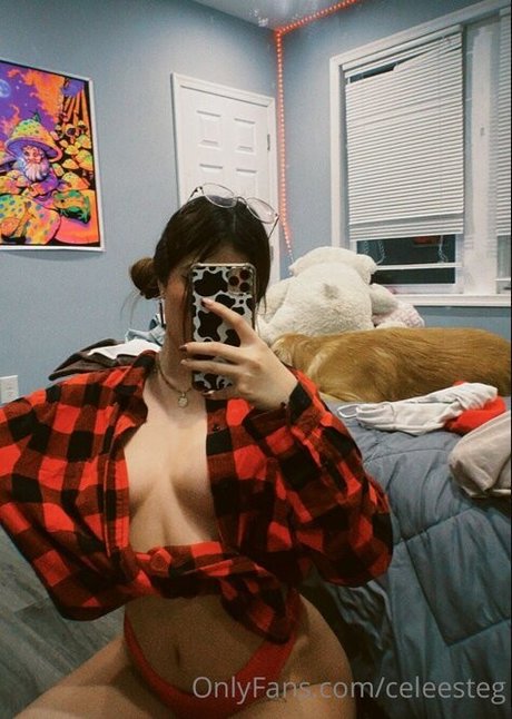 Celeesteg トップスター 写真