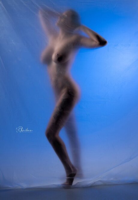 セーリングオンリーファンズ アートヌード 画像