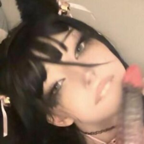 fawnirll xxxスター アーカイブ