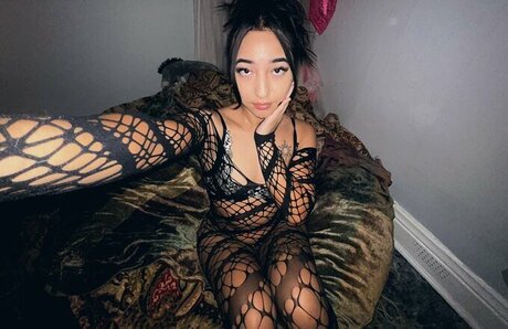 misshaveitherway 素敵なスター 写真