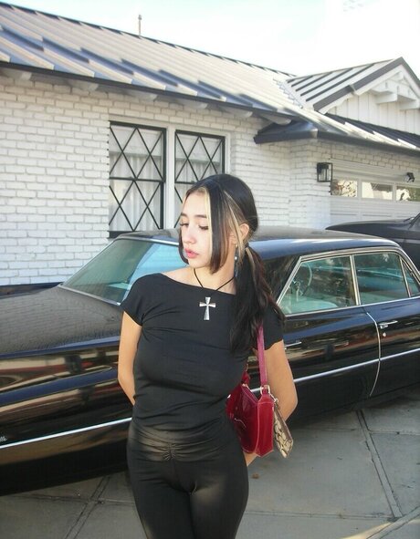 メコスジのオンリーファンズ アートxxx 画像