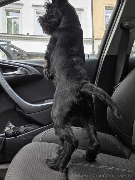 baebaezoe 素敵なモデル 写真