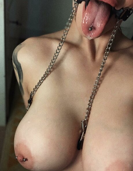 Shai__hulud トップ女優 写真