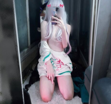 rapulras HDモデル 写真