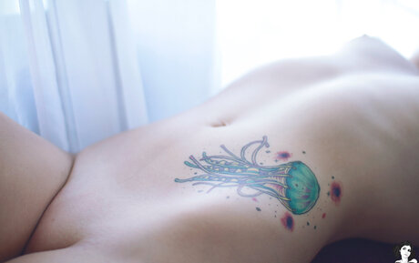 Tabatha Pacer スター アーカイブ