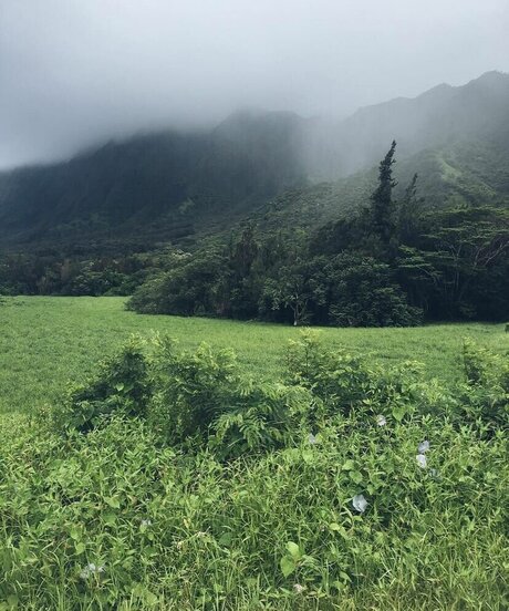 rianabailey HDポルノスター 写真