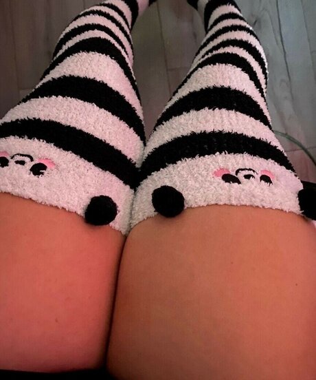 Pixispit セックスポルノスター 写真