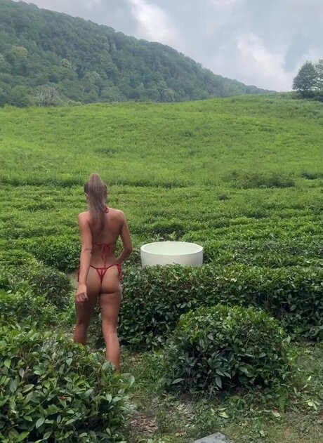 Eliz fit 完璧なスター 画像