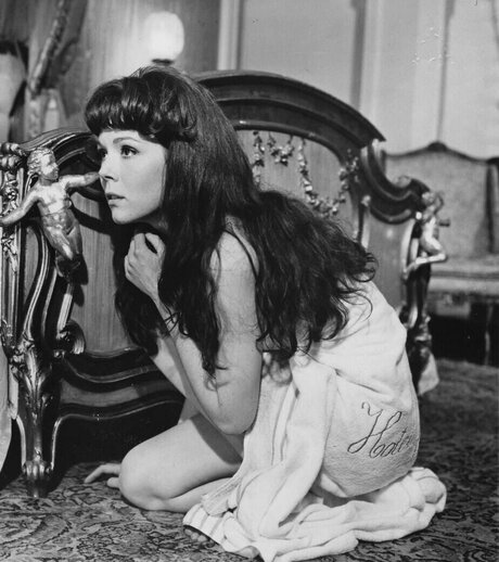 Vintage Sexy Celebs ポルノモデル 写真