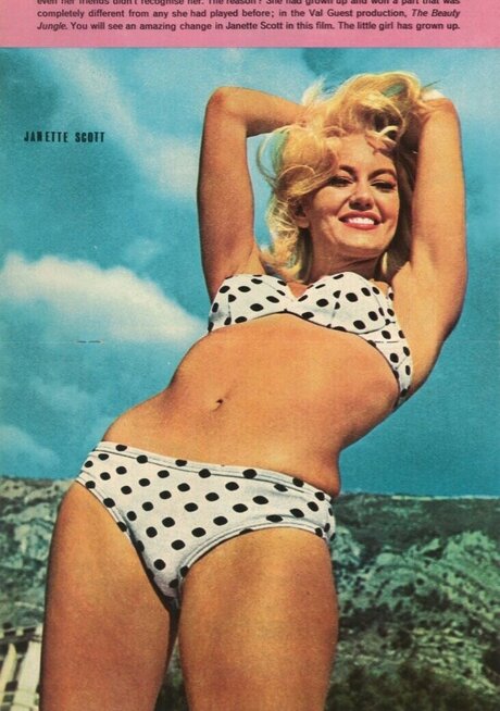 Vintage Sexy Celebs ポルノスター 画像