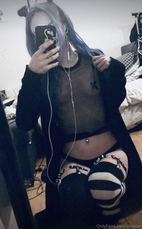 AwesomeTeaCat アダルトスター ギャラリー