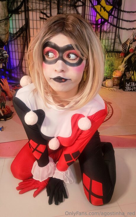 Agostinha Red アートスター 写真