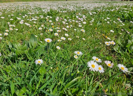 アラブ人妻オンリーファンズ アートポルノ 写真