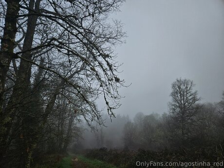 Agostinha Red ポルノモデル 写真
