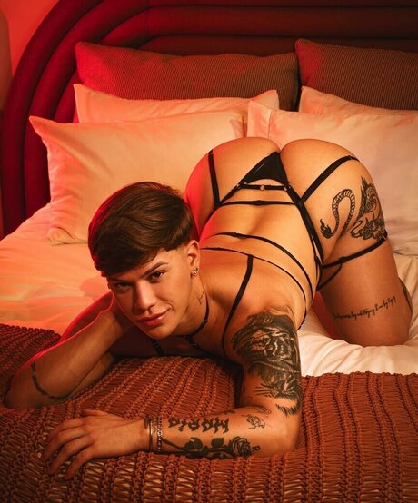 Haroldcdalves 素敵なスター 写真