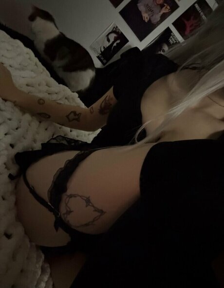 farryndoll トップ女優 画像