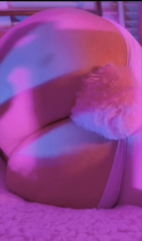 Pokket ポルノスター 美しい 写真