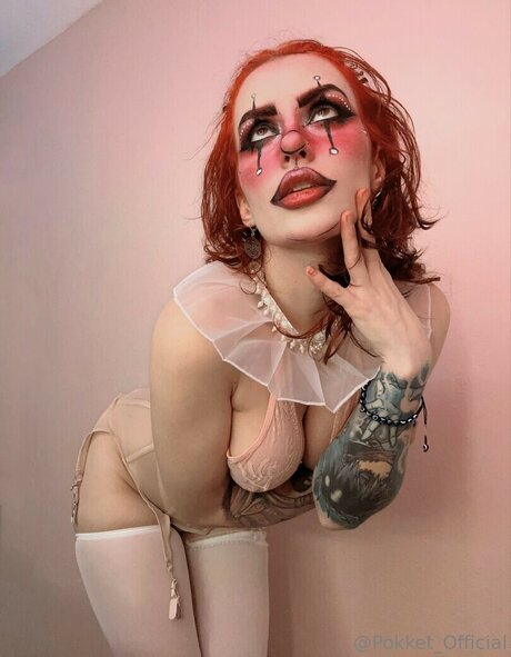 Pokket 高品質のスター アーカイブ