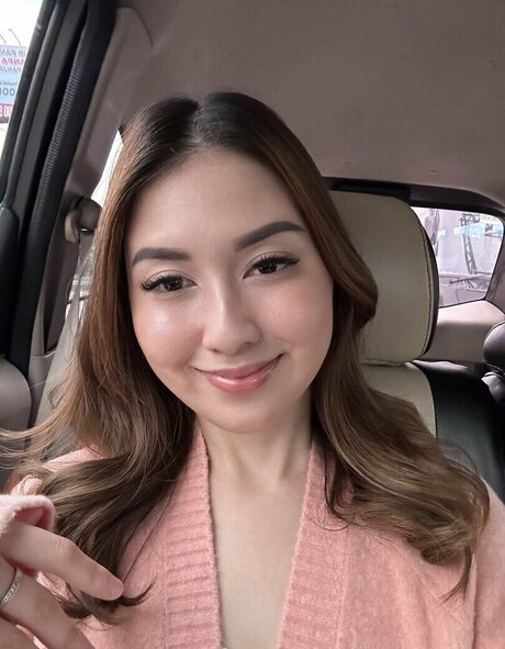 Swansage アートモデル 画像