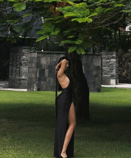 hypothxxcajal xxxスター ギャラリー