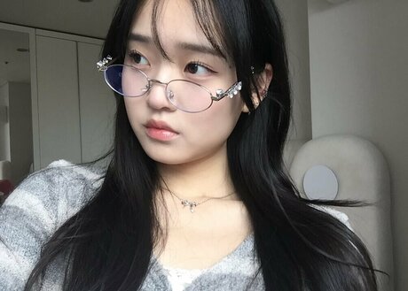 Saranghoe HDモデル 画像