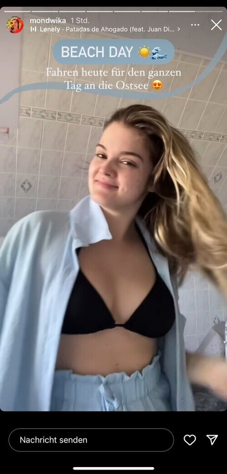 Mondwika アートスター 画像