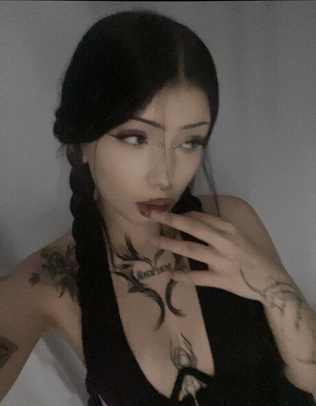 tt t772 トップスター ギャラリー