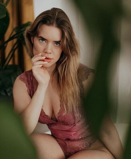 hollaura 独占ポルノスター 写真