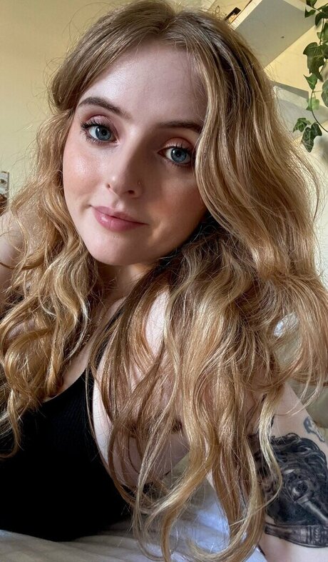 Krysttl アートスター 写真