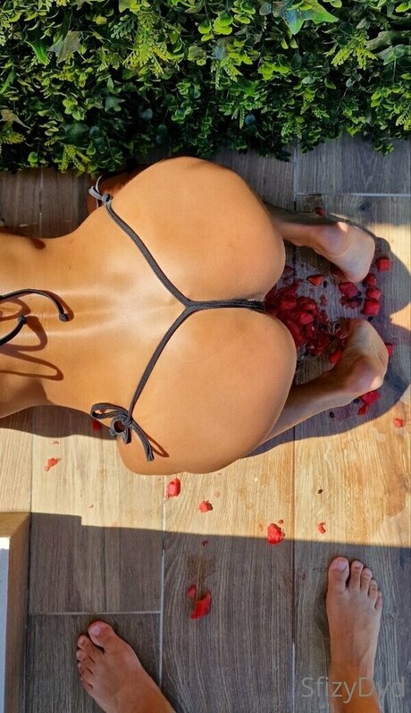 sfizydyd 高品質モデル 写真