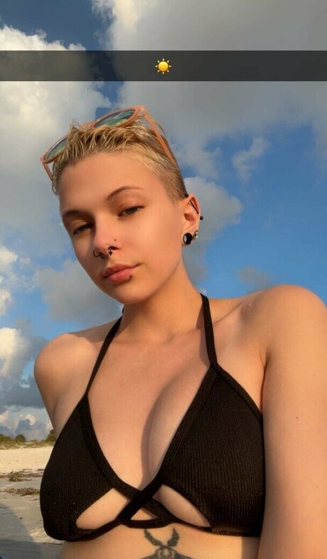 Rottensatanas HDモデル 画像