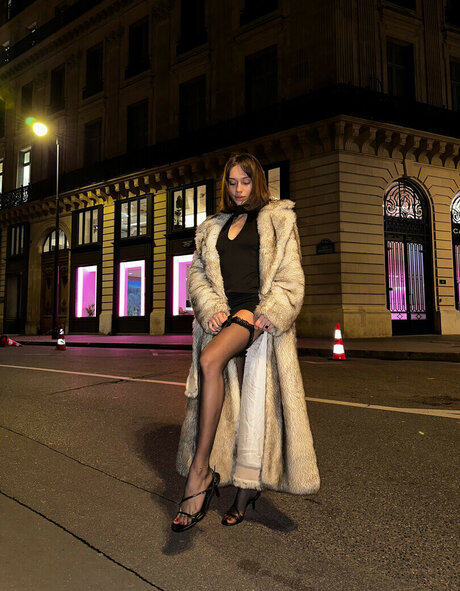 Prima Bella 高品質のスター 写真