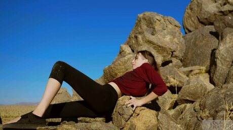 DomTheNation 無料スター 写真