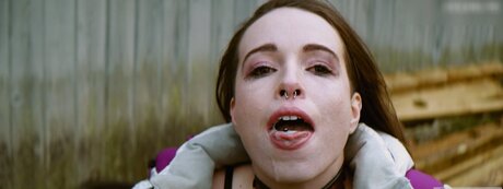 DomTheNation HDモデル 写真