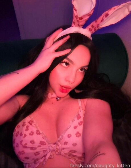 musclekitty かわいいスター ギャラリー