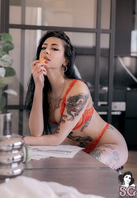 Deliriumtremmens 高品質女優 画像