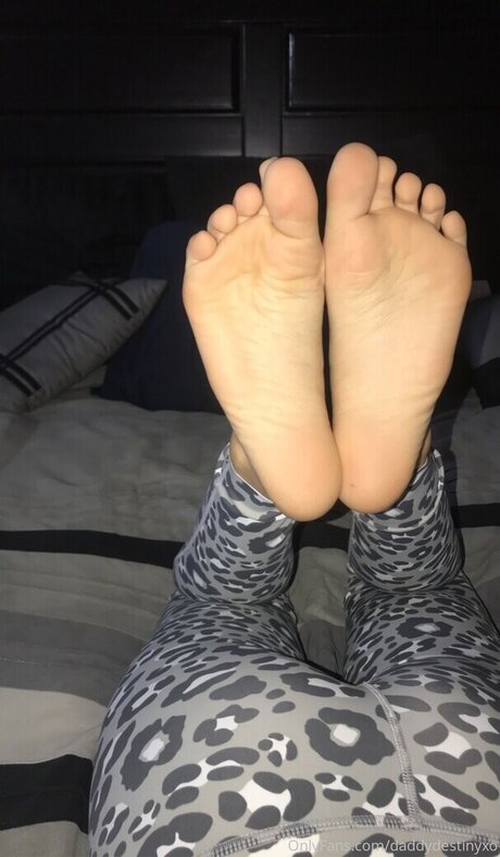 Daddydestinyxo 高品質モデル 写真